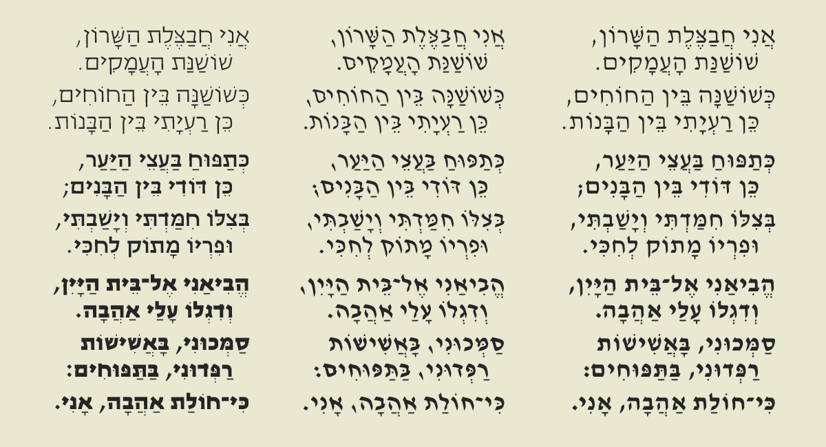 David Hadash specimen